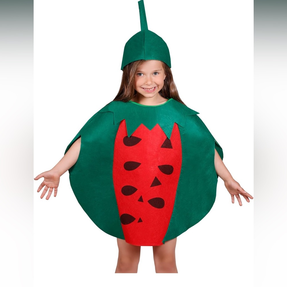 Kids large watermelon costume *worn once*
